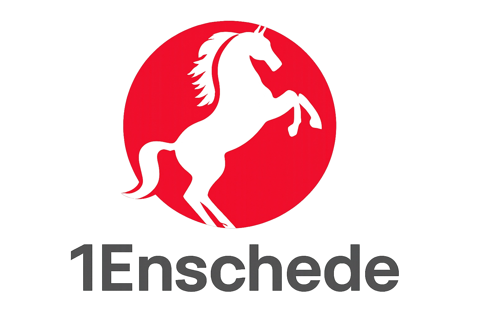 1Enschede Logo